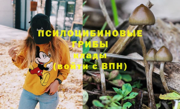 apvp Алексеевка
