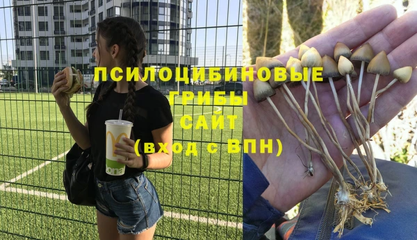 эйфоретик Алексин