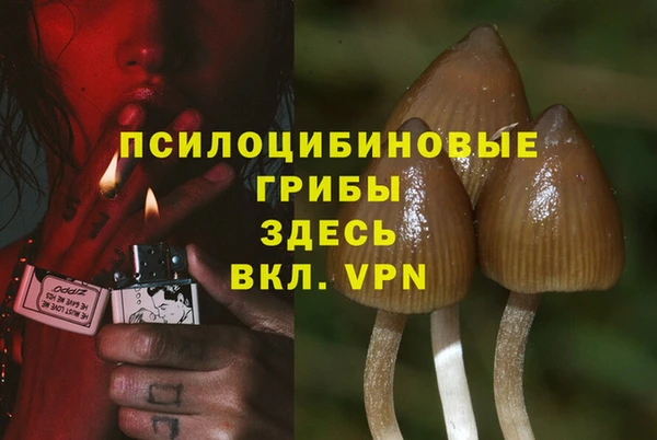 apvp Алексеевка