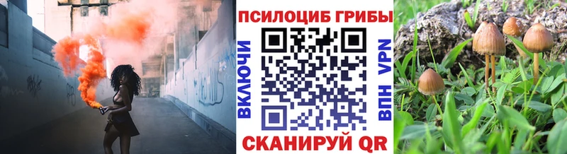 Галлюциногенные грибы Magic Shrooms  кракен вход  Тара 
